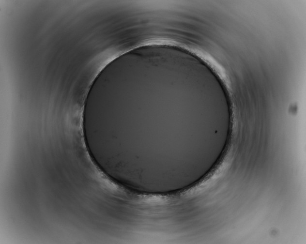 X0000103130945200809191938