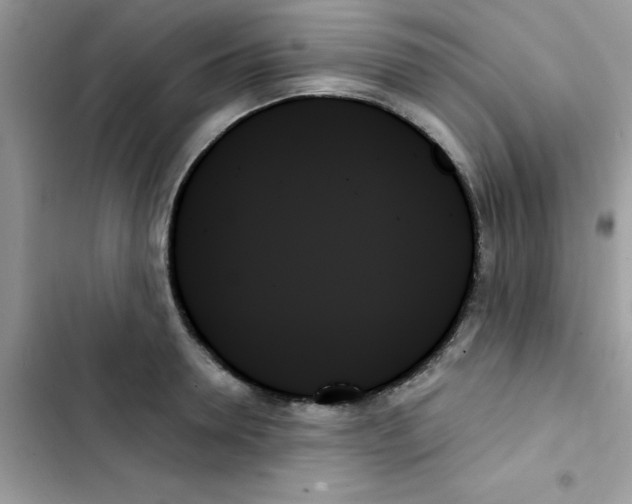 X0000103130946200809191938