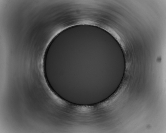 X0000103130947200809191938