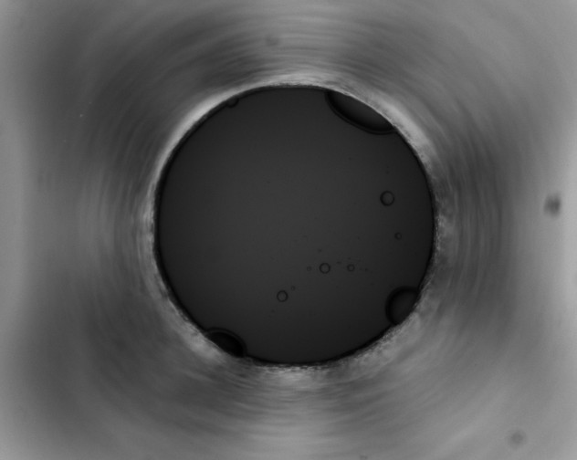 X0000103130948200809191938