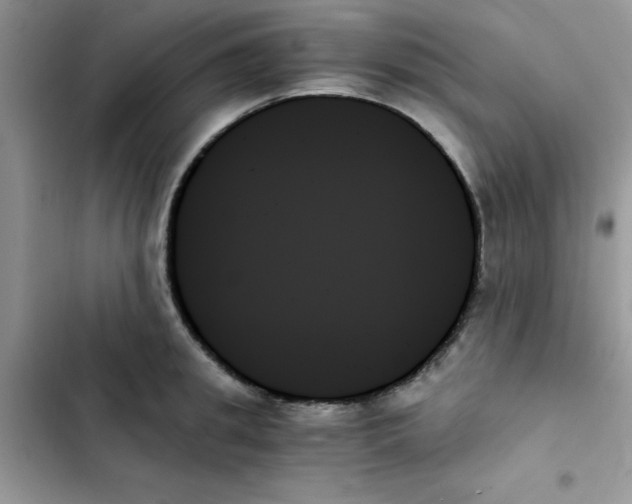X0000103130949200809191938