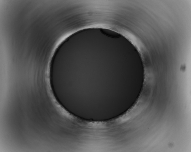 X0000103130952200809191938