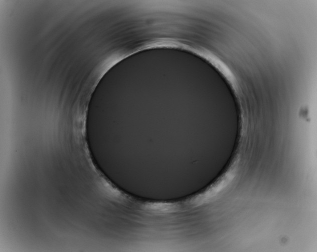 X0000103130953200809191938