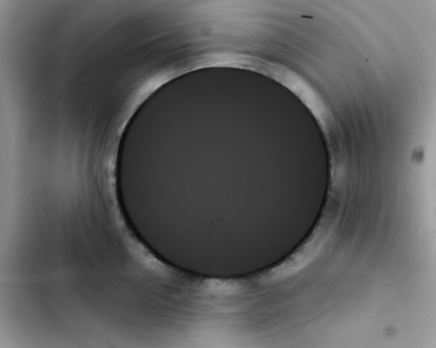 X0000103130954200809191938