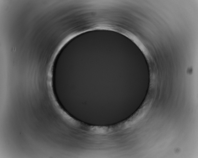 X0000103130955200809191938