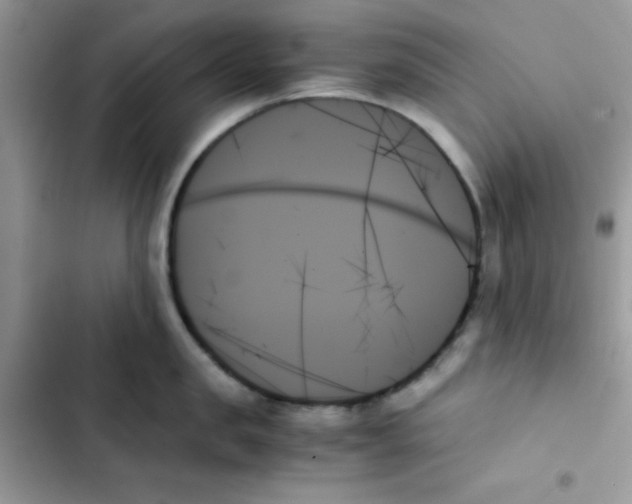 X0000103130957200809191938
