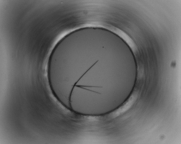 X0000103130958200809191938