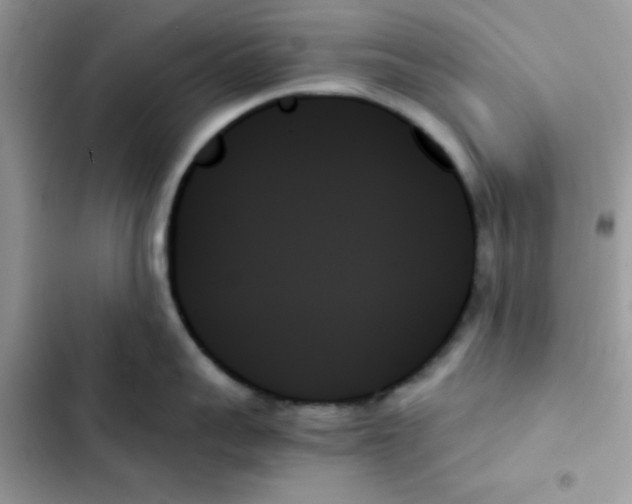 X0000103130959200809191938