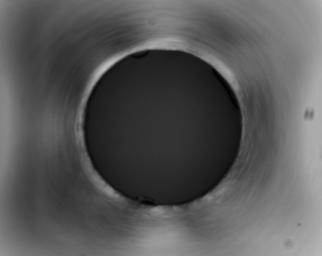 X0000103130960200809191938