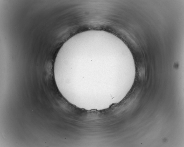 X0000103130964200809191937