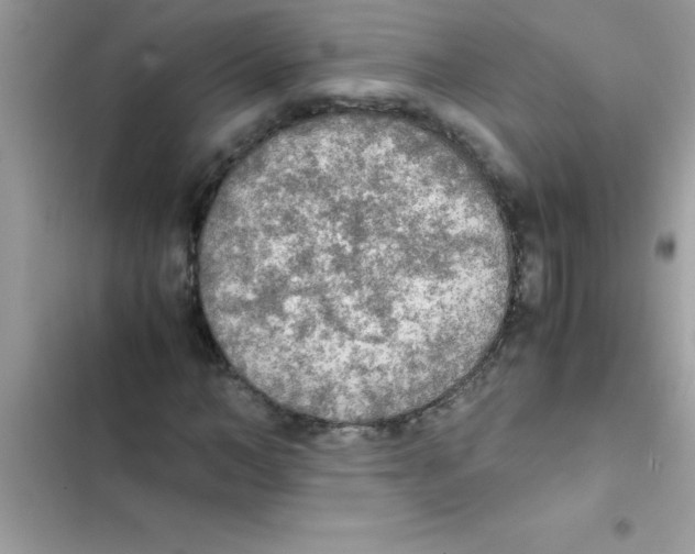 X0000103130966200809191937
