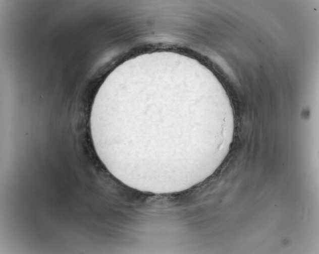 X0000103130967200809191937