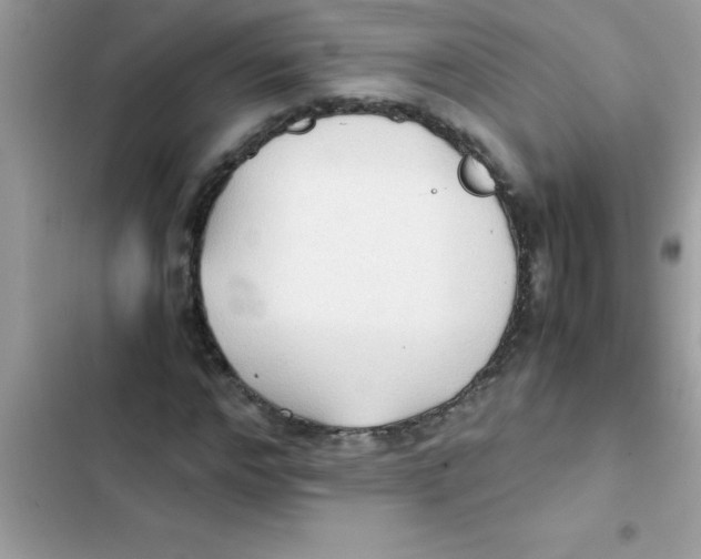 X0000103130968200809191937