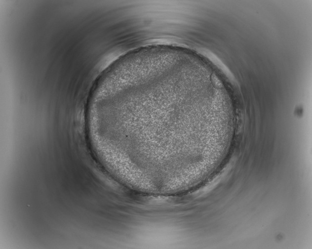 X0000103130969200809191937
