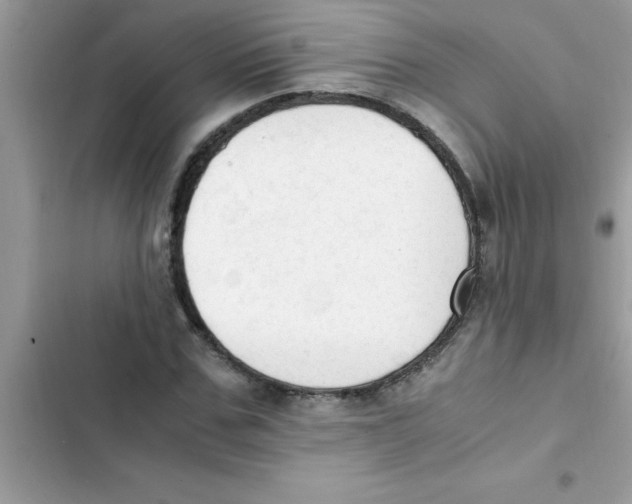 X0000103130971200809191937