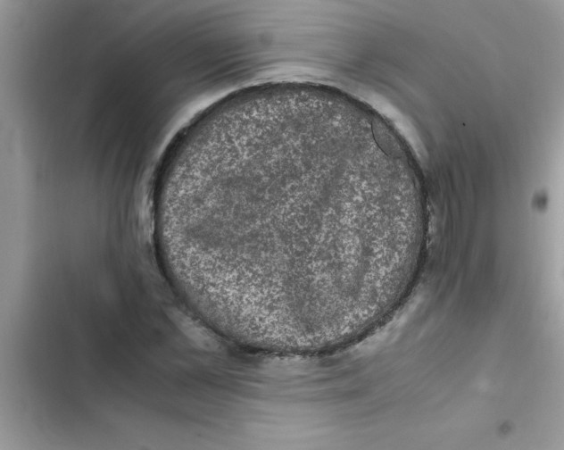 X0000103130973200809191937