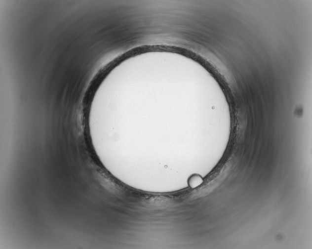 X0000103130974200809191937