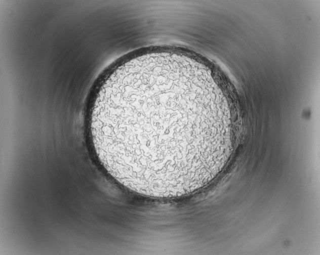 X0000103130975200809191937
