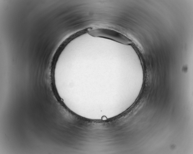 X0000103130976200809191937