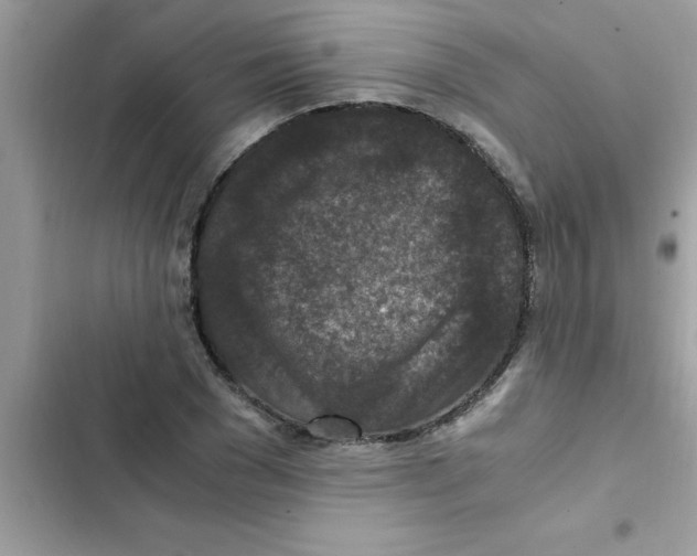 X0000103130977200809191937