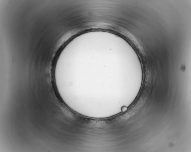 X0000103130978200809191937