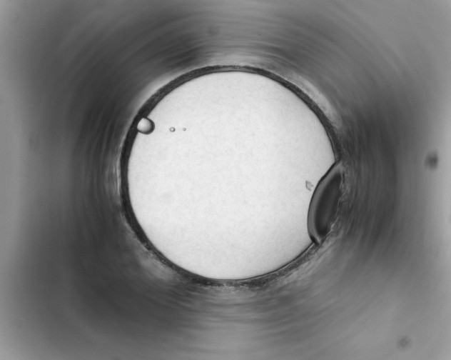 X0000103130980200809191937