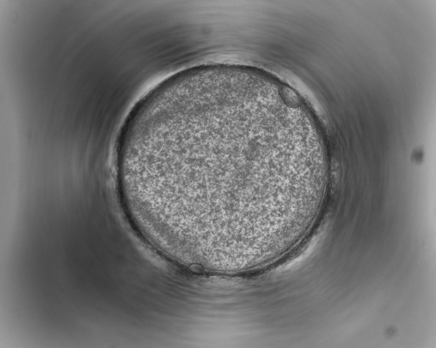 X0000103130981200809191937