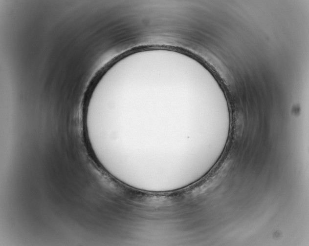 X0000103130982200809191937