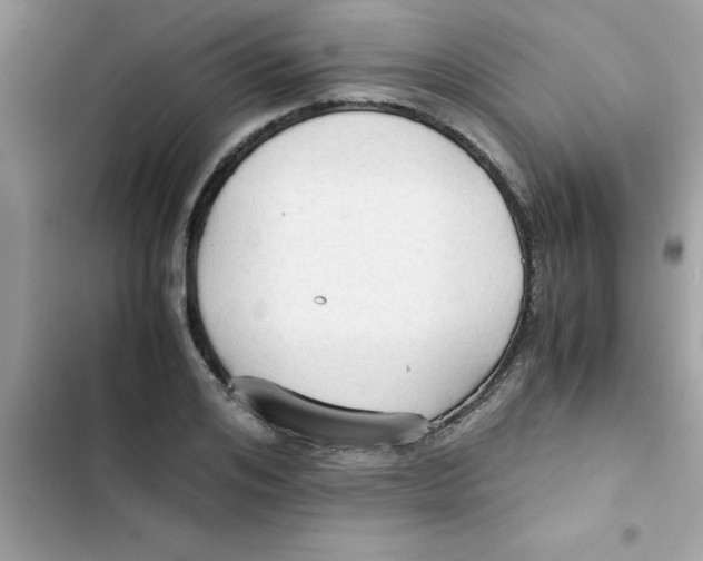X0000103130984200809191937