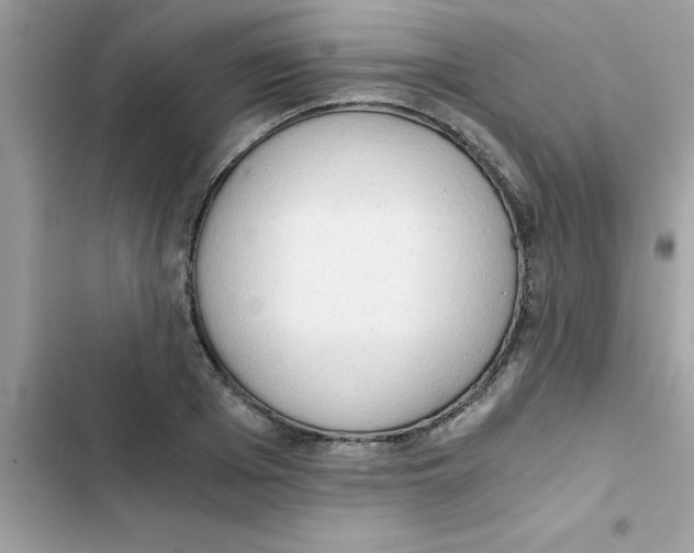 X0000103130985200809191937
