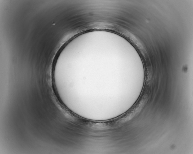 X0000103130986200809191937