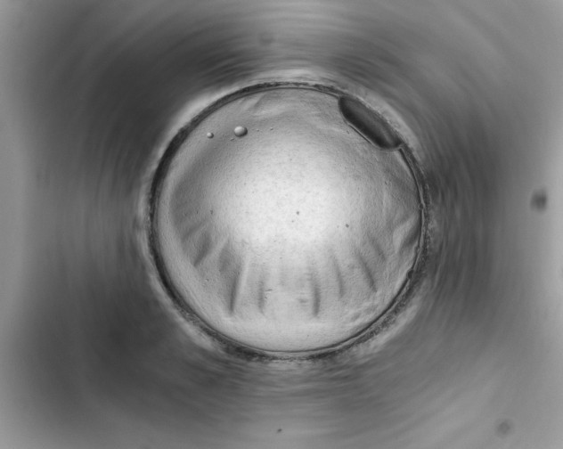 X0000103130989200809191937