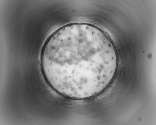X0000103130990200809191937