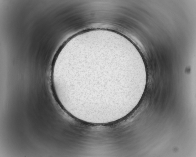 X0000103130992200809191937