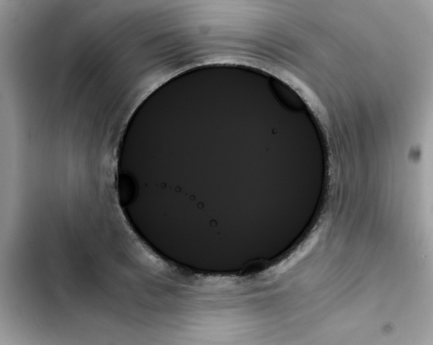 X0000103130993200809191937