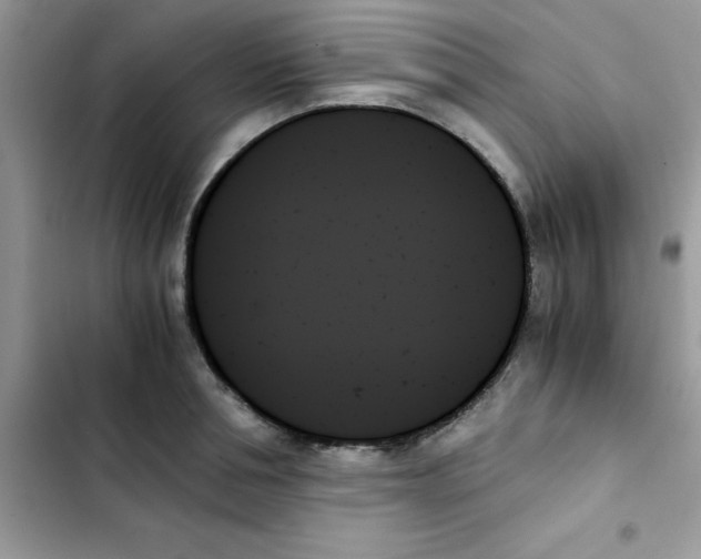 X0000103130994200809191937