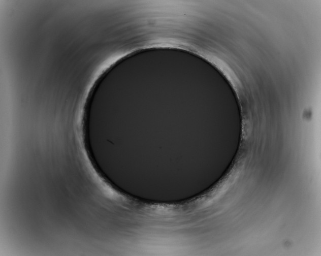 X0000103130995200809191937
