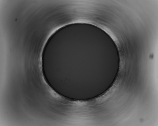 X0000103130996200809191937