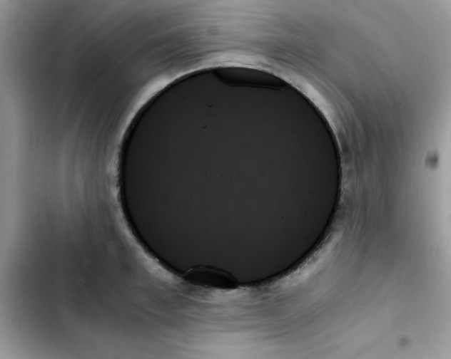 X0000103130997200809191937