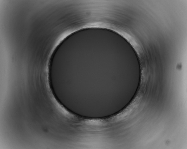 X0000103130998200809191937