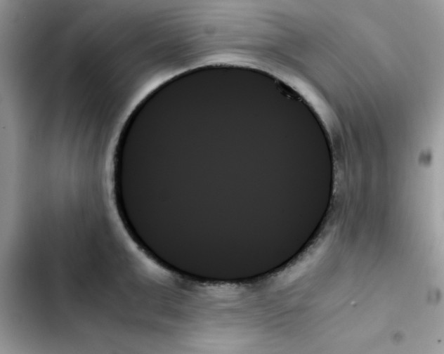 X0000103130999200809191937