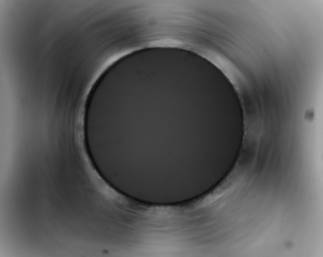 X0000103131000200809191937