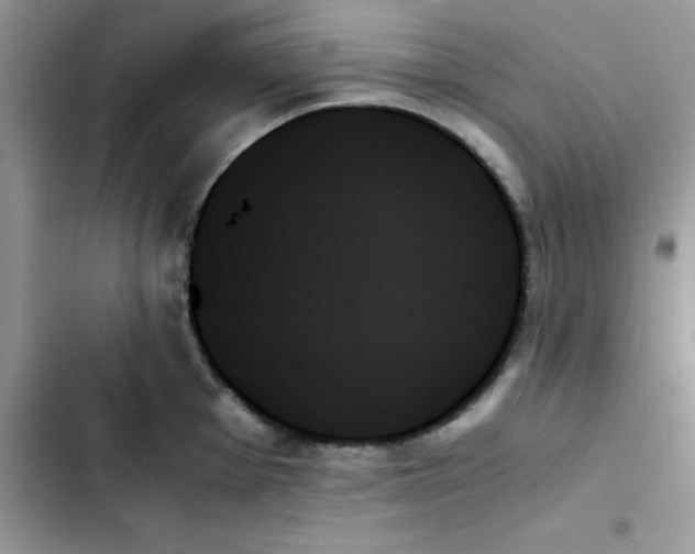 X0000103131001200809191937