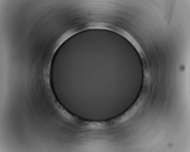 X0000103131002200809191937