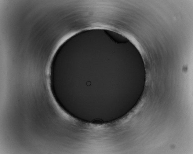 X0000103131003200809191937