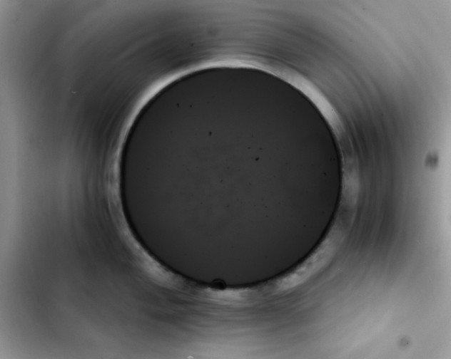 X0000103131004200809191937