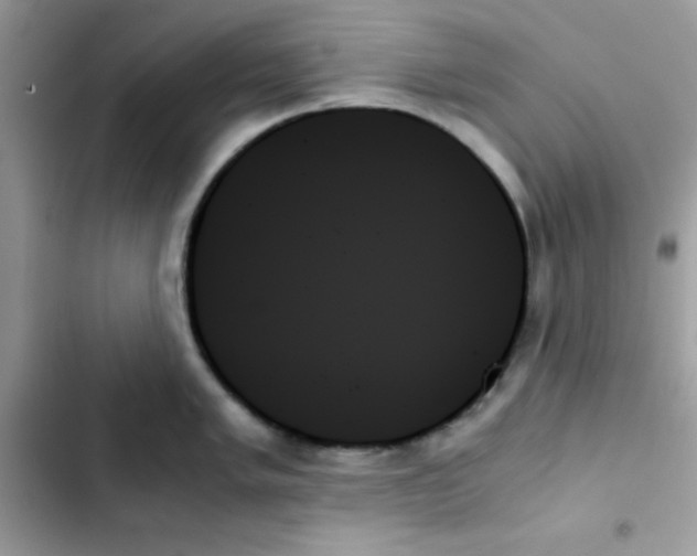 X0000103131005200809191937
