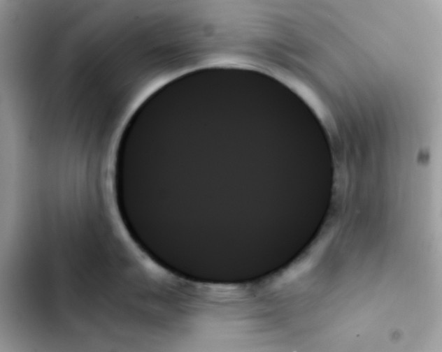 X0000103131007200809191937