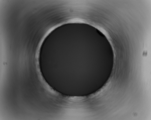 X0000103131008200809191937
