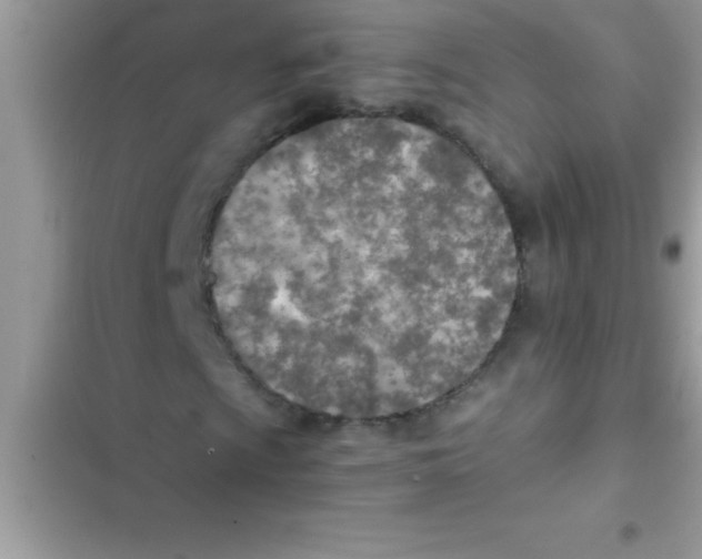 X0000103131009200809191936